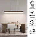 modern ceiling pendent light